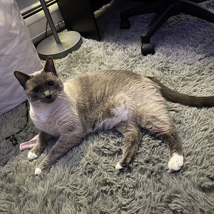 Meet your Posher, Danielle